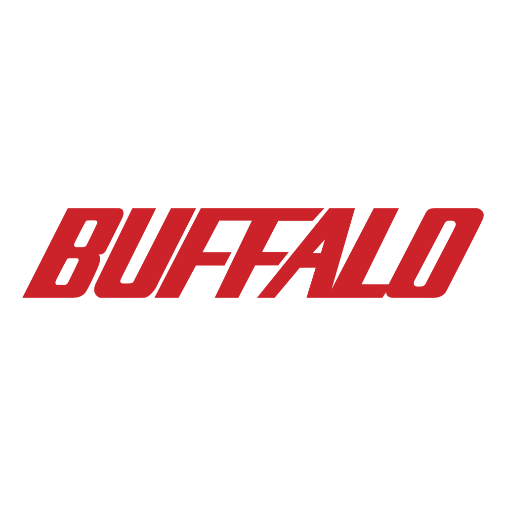 Buffalo Datenrettung bei PITS